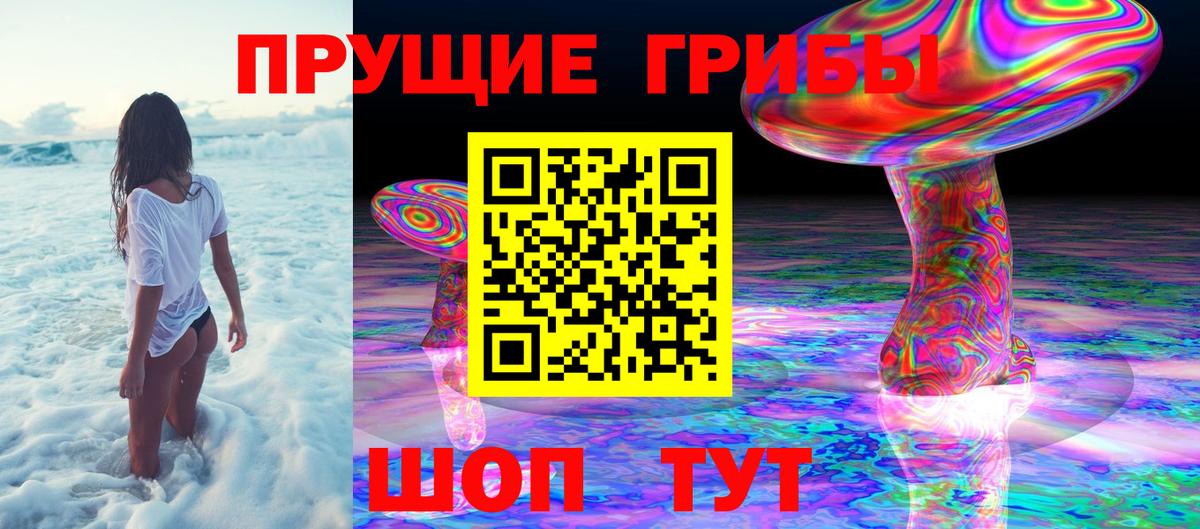 Псилоцибиновые грибы Psilocybine cubensis  Вход с VPN  хочу наркоту  Прохладный  Псилоцибиновые грибы Cubensis 